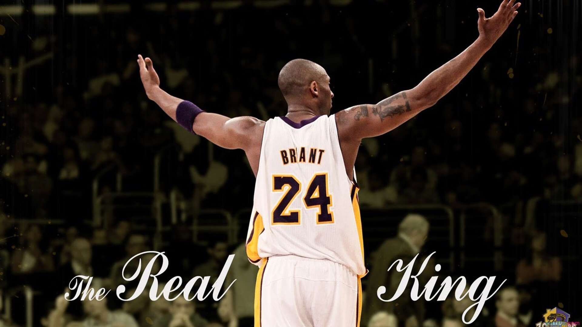 瑞士传统马术赛事“Schwingfest”在2024年成功举办,吸引众多观众参与。